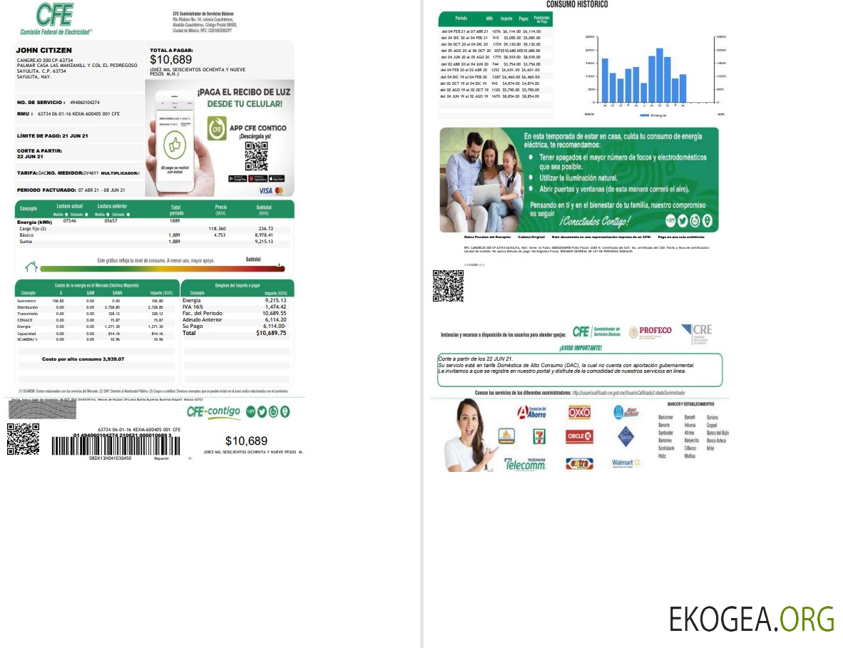 Mexico Federal Electricity Commission (CFE) utility bill template in Word format, 2 pages